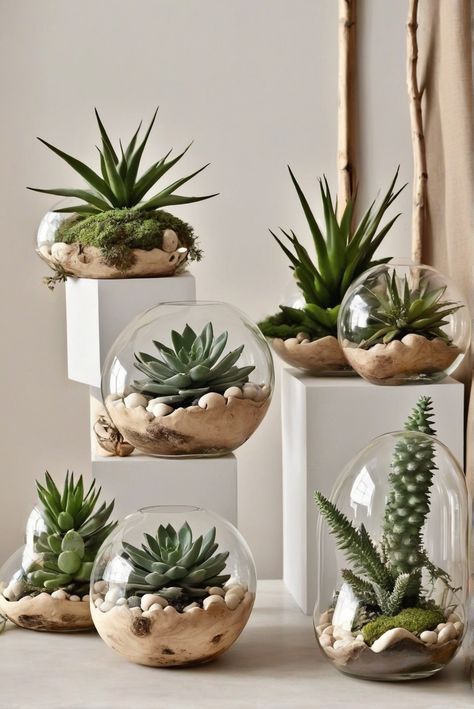 Succulent, Natural Decor, Style Comparison, Home Trends Trending Planters 2023, Natural House Decor Ideas, Terrarios Suculentas Ideas, Decor From Nature, Succulent Terrarium Ideas, Succulent Terrarium Diy, Glass Jar Diy, Suculentas Ideas, Indoor Succulent Garden