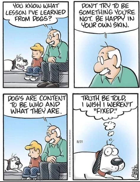 Pickles Comic, Pickles Comics, The Far Side Comics, Dog Cartoons, Jw Humor, Witty Humor, Funny Women Quotes, Calvin And Hobbes Comics, Older Couple