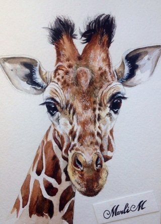 Ideas Watercolor, Giraffe Drawing, Giraffe Pictures, Giraffe Painting, Giraffe Art, Soyut Sanat Tabloları, A Giraffe, African Wildlife, African Animals