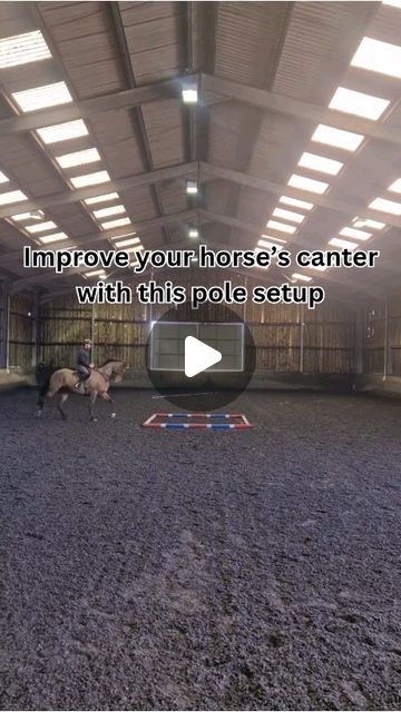 Dan Bizzarro on Instagram: "Easy to set up and super useful exercise to improve your horse's rhythm and straightness.

1 Square of poles can be used for 20+ different exercises. 

Follow me to find out all the different ways you can use this simple pole set up!
.
.
.
.
.
.
.
.
.
.
.
#danbizzarro 
#poleworkout 
#training 
#horsesofinstagram 
#eventing 
#showjumping 
#dressage" Equine Pole Exercises, Arena Exercises For Horses, Horse Ground Work Exercises, Ground Pole Exercises Horses, Horse Pole Exercises, Flatwork Exercises Horses, Jumping Exercises For Horses, Polework Exercises Horse, Pole Work For Horses