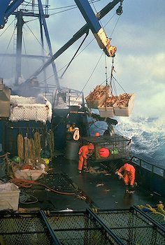 picture of Crab Fishing Boat On The Bering Sea Alaska Bering Sea, Alaska Fishing, Deadliest Catch, Crab Fishing, Globe Travel, King Salmon, Salt Water Fishing, Fishing Vessel, River Bed