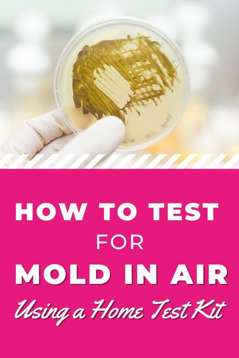 Diy Mold Testing, Mold Allergy Relief, How To Test For Mold In Your Home, Mold Exposure Symptoms, Mold Allergy, Bio Hacking, Grand Design Rv, House Mold, Mold Exposure