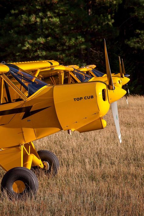 Top Cub Piper J3 Cub, J3 Cub, Piper Cub, Piper Aircraft, Usaf Thunderbirds, Plane Photography, Bush Plane, Small Airplanes, Airplane Flight