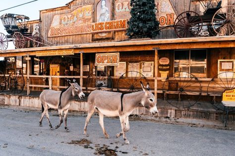 Small AZ Towns Bullhead City Az, Old West Town, Grand Canyon Railway, Bullhead City, West Town, Virginia City, Lake Havasu City, Lake Havasu, American Road Trip