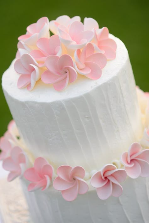 Plumeria flowers on cake :) <3 Flowers On Cake, Hawaiian Cake, Plumeria Flowers, Amazing Wedding Cakes, Fondant Flowers, Special Occasion Cakes, Wedding Cake Ideas, Wedding Cake Designs, Fancy Cakes