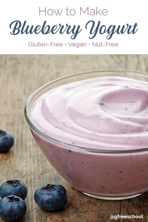 Vegan Blueberry Yogurt (GF, Nut-free) Gluten Free Granola Recipe, Cashew Yogurt, Blueberry Yogurt, Autoimmune Paleo Recipes, Dairy Free Yogurt, Vegan Blueberry, Vegan Yogurt, Best Gluten Free Recipes, Homemade Yogurt