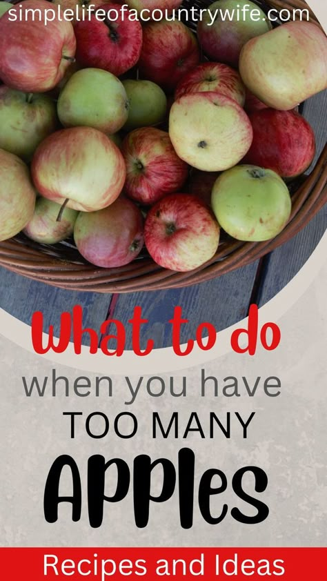 things to make with apples How To Use Up Lots Of Apples, Recipe To Use Up Apples, Apple Recipes Fresh Apples, Use Up Old Apples, Cameo Apple Recipes, What To Do With Apples Easy, Apple Preserving Recipes, Recipes For Lots Of Apples, Make With Apples