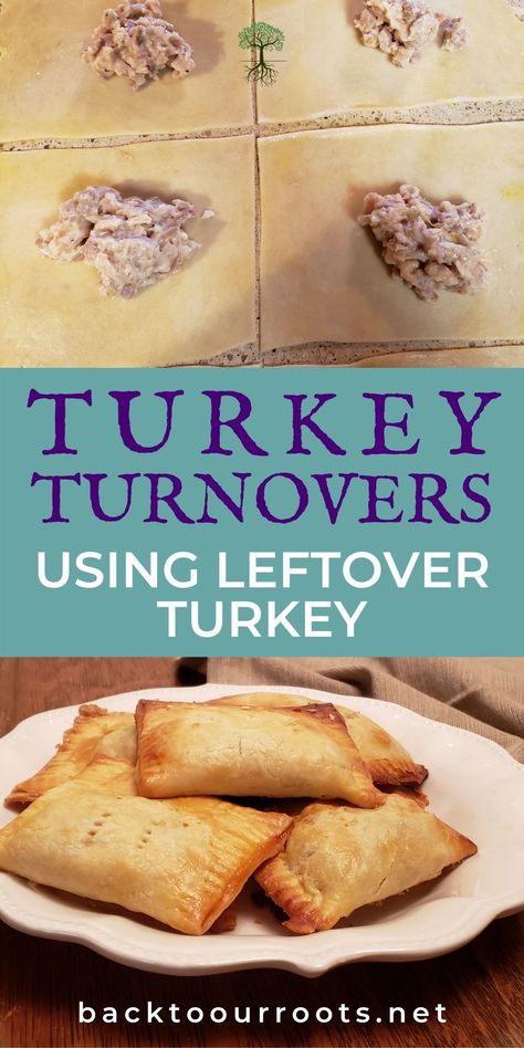 These turkey turnovers are favorites at my house. We almost like these better than the roasted turkey! They are easy to make and taste amazing. Whip up a batch today! Turkey Turnovers, Turkey Dinner Sides, Using Leftover Turkey, Christmas Turkey Dinner, Turkey Easy, Homesteading Tips, Leftover Thanksgiving, Scratch Cooking, Turnover Recipes