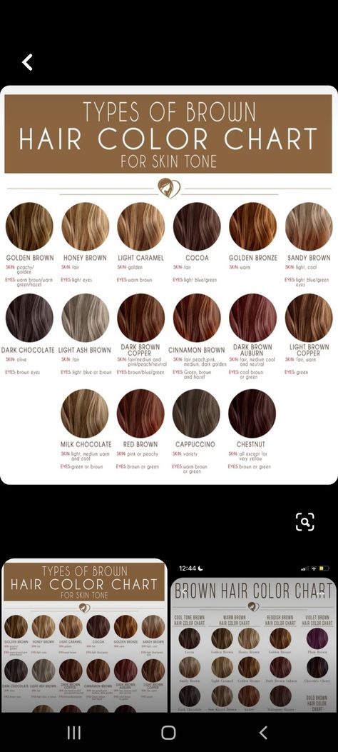 Brown Hair Tones Chart, Hair Colour For Skin Tone Shades, Olive Skin Blue Eyes Hair Color, Hair For Light Olive Skin Tone, Best Hair Colour For Tanned Skin, Haircolor Ideas For Neutral Skin, Brown Hair Cool Undertones, Brown Hair Colors For Green Eyes, Neutral Cool Skin Tone Hair Colors