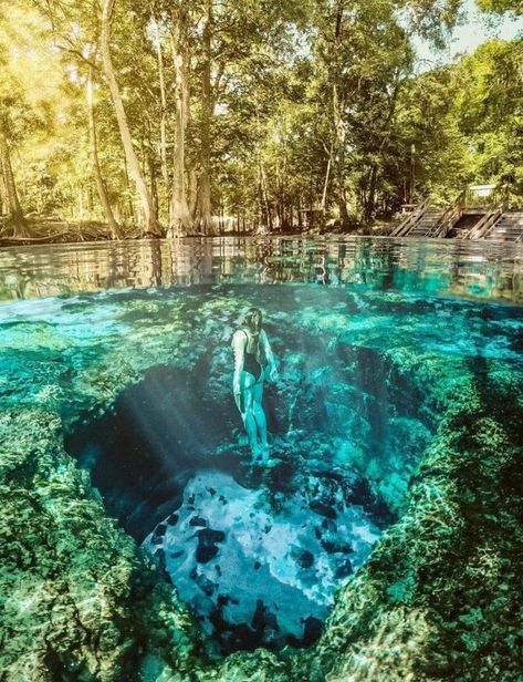 Best Florida Springs to visit | Ginnie Springs located in High Springs, Florida | Facebook Ginnie Springs Florida, High Springs Florida, Natural Springs In Florida, Springs In Florida, Ginnie Springs, Florida Springs, Springs Florida, Dripping Springs, Spring Nature