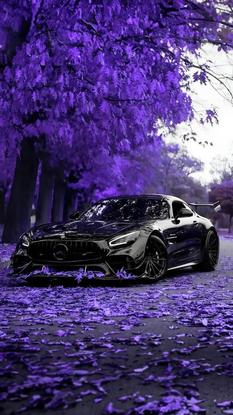 Kereta Sport, Cool Car Backgrounds, Mercedes Amg Gt R, Mercedes Benz Wallpaper, Mercedes Wallpaper, Dream Cars Mercedes, Sports Car Wallpaper, Car Backgrounds, Cool Car Pictures