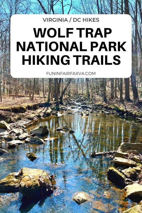 Nc Hiking Trails, Hiking Virginia, Virginia Hikes, Reston Virginia, Pond Bridge, Wolf Trap, Natural Tunnel State Park Virginia, Farm Pond, Mountain Laurel