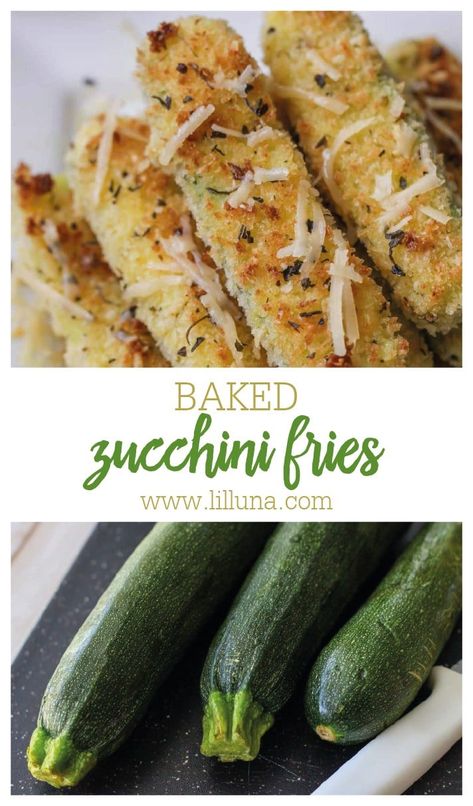 These baked zucchini sticks are crusted and baked in panko, parmesan cheese, oregano, and basil. Zucchini fries are healthy AND delicious! #bakedzucchinifries #zucchinifries #baked #zucchini #appetizer #sidedish #healthy Basil Zucchini, Zucchini Fries Baked, Baked Parmesan Zucchini, Parmesan Crusted Zucchini, Baked Zucchini Fries, Zucchini Appetizer, Garden Zucchini, Parmesan Zucchini Fries, Buffalo Chicken Bites