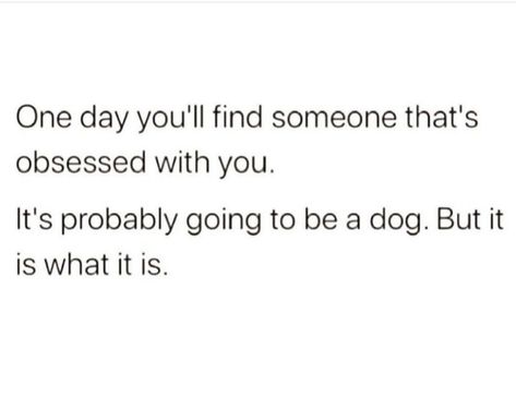 Why Dogs Are Better Than People, Dogs Are Better Than People Quotes, Dog People Quotes, Animals Are Better Than People, Dogs Are Better Than People, Humanity Quotes, Southern Women, I Have No One, Single Ladies