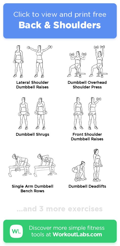 Shoulders And Back Workout Dumbbells, Shoulder Back Exercises For Women, Back And Bicep Workout Free Weights, Back And Bicep Dumbbell Workout Women, Best At Home Back Workout, Easy Shoulder Workout, Back Shoulder And Bicep Workout, Back And Shoulder Dumbbell Workout, At Home Back And Shoulder Workout