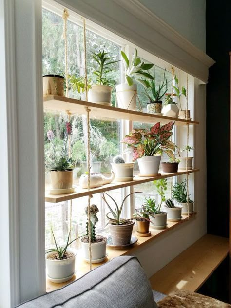 If you're looking for plant room ideas to liven up your living space, look no further - you've come to the right place. Plants Shelf, Koti Diy, Shelf Diy, Plants Diy, Window Plants, Window Shelves, نباتات منزلية, Decor Plants, Hanging Plants Indoor