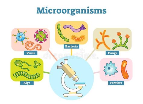 Cells Illustration, Sistem Saraf, Microscopic Organisms, Cover Page Template, Microscopic Images, Biology Art, School Project Ideas, Technology Life, Modern Graphic Art