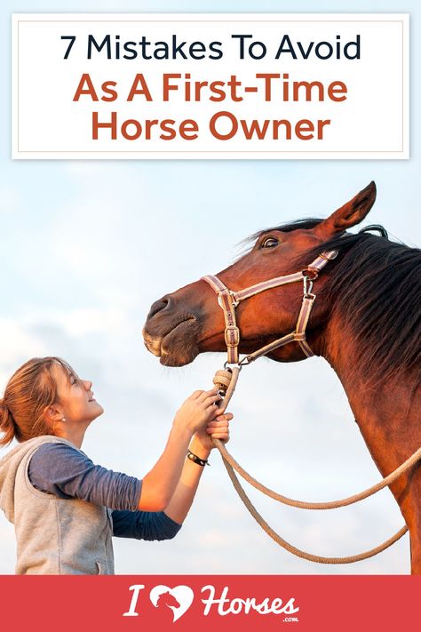 All horse owners go through the same learning process. It’s a rite of passage to go from a newbie to a capable and confident horse owner. Mistakes are bound to happen, but we want to help you avoid the big ones! From shopping for your first horse to learning how to properly care for him or her, there’s a lot to learn. Before you embark on your journey as a horse owner, make sure you don’t commit these 7 common mistakes. | #horseowner #ihearthorses #eqlife #equestrianproblems #horseownertips Learning To Ride A Horse, How To Train Your Horse, How To Take Care Of Horses, Taking Care Of Horses For Beginners, New Horse Owner Checklist, First Time Horse Owner Checklist, Horse Ownership For Beginners, How To Care For A Horse, How To Train A Horse