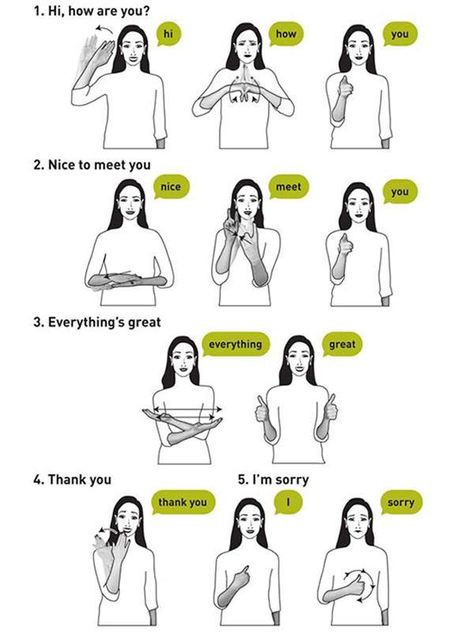 Asl Sign Language Words, Sign Language Chart, Sign Language For Kids, Sign Language Lessons, Sign Language Phrases, Sign Language Interpreter, Asl Learning, Sign Language Words, British Sign Language