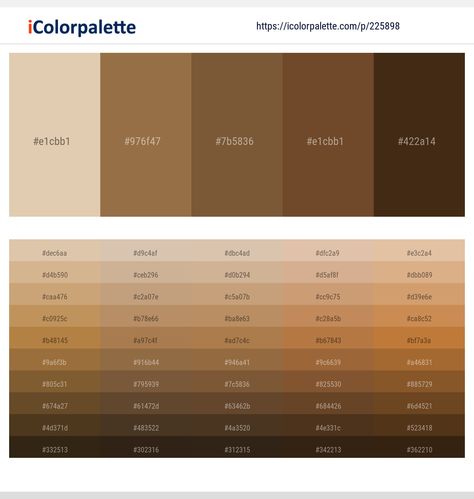 Drawing Advice, Aesthetic Colour, Brown Derby, Hex Color, Desain Buklet, Hex Color Palette, Dim Gray, Brown Color Palette, Skin Color Palette