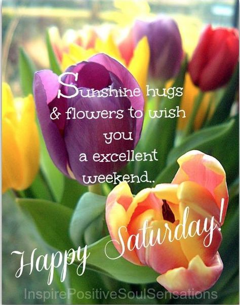 Saturday-Thanks, M's-What a way to start the weekend. Happy Saturday Quotes, Happy Saturday Images, Saturday Greetings, Weekend Greetings, Saturday Images, Saturday Quotes, Good Morning Saturday, Daily Greetings, Happy Week End