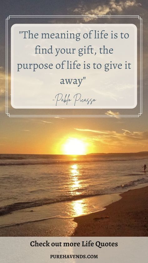 Live your purpose life quote Living With Purpose Quotes, Purpose Of Life Quotes, The Alchemist Paulo Coelho, Life Purpose Quotes, Church Sign Sayings, Sign Sayings, Purpose Quotes, The Purpose Of Life, Coaching Questions