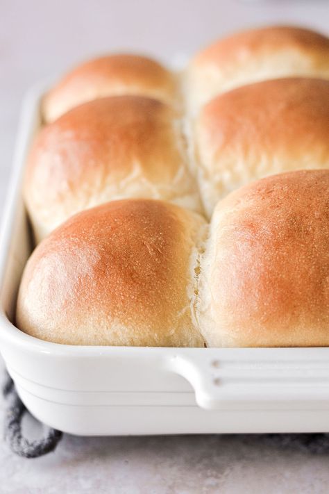 High Altitude Dinner Rolls, High Altitude Baking Recipes, High Altitude Bread, High Altitude Bread Recipe, Savory Bakes, Homestead Cooking, Bread Photography, Milk Buns, Yeast Rolls Recipe