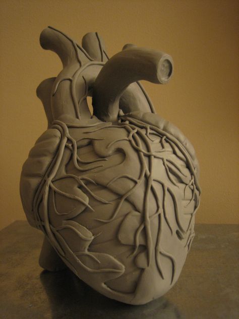 Heart Clay Art, Human Heart Art, A Human Heart, Frog Sculpture, Heart Sculpture, About Heart, Ceramic Art Sculpture, Muse Art, Anatomical Heart