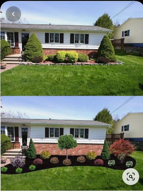 Landscaping Shrubs, Front Yards Curb Appeal, Yard Landscaping Simple, Small Front Yard Landscaping, Small Front Yard, Front Yard Design, Front Landscaping, Low Maintenance Landscaping, Front Yard Landscaping Ideas