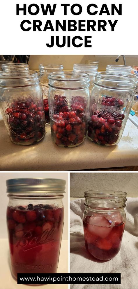 Making and canning homemade cranberry juice is so easy and the juice is just delicious! Buy cranberries when they are on sale and in season and make as much as you can. Buy more to freeze for later, you will not regret it! Cranberry juice is rich in vitamin C, which helps keep your immune system healthy and functioning properly. Making homemade is also so much healthier than store bought. No high fructose corn syrup and you can control the sugar amount!  ... less How To Can Cranberry Juice, Cran Pineapple Juice, Cranberry Juice Canning Recipe, Canning Cranberry Juice, Cranberry Juice Recipes, Homemade Cranberry Juice, Canning Cranberry, Cranberry Uses, Fall Canning