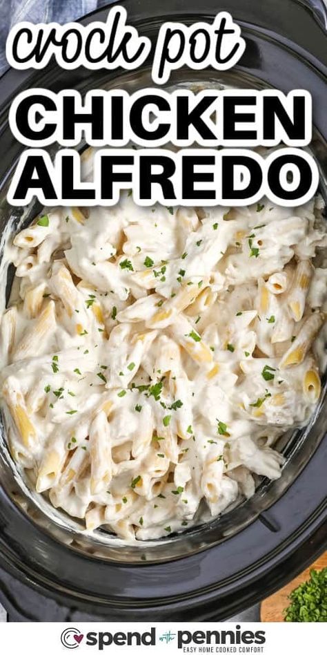 Treat your family to the creamy, comforting flavors of Crock Pot Chicken Alfredo! This easy recipe layers seasoned chicken, cream cheese, and Parmesan in your slow cooker, creating a rich sauce that perfectly coats tender pasta. It’s a simple, one-pot meal that saves you time and cleanup, so you can enjoy a delicious dinner without the stress. Serve it with garlic bread and a fresh salad for a complete meal! #spendwithpennies Chicken Alfredo Stuffed Shells Crockpot, Crockpot Recipes Chicken Alfredo Pasta, Crockpot Ideas With Chicken, Chicken Carbonara Pasta Crockpot, Croc Pot Chicken Alfredo, Chicken Alfredo Pie, Chicken Cream Cheese Pasta Crock Pot, Slow Cooker Alfredo Sauce, Crock Pot Chicken Alfredo Recipes