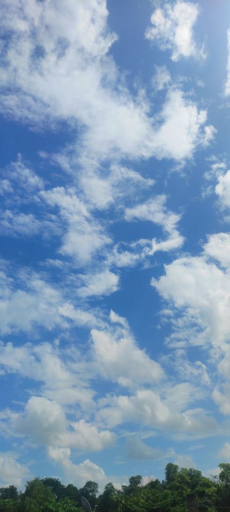 Tress And Cloudy Blue Sky Blue Sky Clouds Photography, Sky Pictures Clouds, Blue Sky Images, Picture Cloud, Cloudy Blue Sky, Worms Eye View, Blue Sky With Clouds, Blue Sky Wallpaper, Sky With Clouds