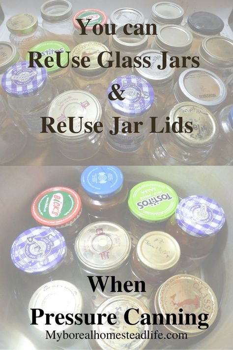 Reuse glass jars and ruse jar lids to pressure can Vegan Beans Upcycle Spaghetti Sauce Jars, How To Sterilize Canning Jars, Canning Lid Storage, Canning Kitchen Ideas, Canning Ring Storage, Canning Jar Storage Ideas, Reusing Glass Jars, Canning Pickles Recipe, Canning Garden