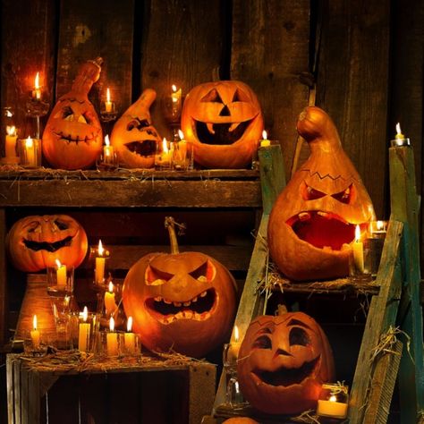 Creative Pumpkin Painting, Pumkin Carving, Creative Pumpkin Carving, Casa Halloween, Pumpkin Display, Pumpkin Carving Ideas, Halloween Witch Decorations, Halloween Pumpkin Designs, Halloween Backdrop