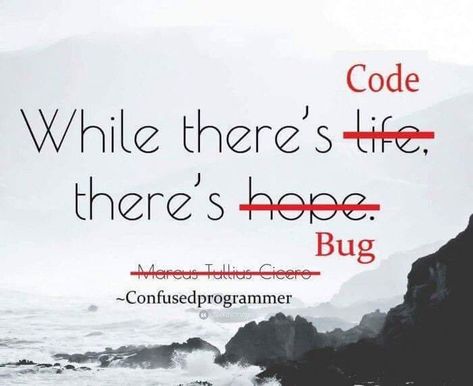 Developer Quotes Software, Software Developer Quotes, Programming Quotes Funny, Coding Quotes Programming Funny, Funny Coding Quotes, Coding Quotes Programming, Programmer Quotes, Computer Science Quotes, Ingenieur Humor