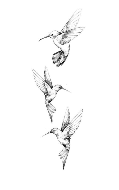 humming bird tattoo - The House of Beauty 4 Hummingbird Tattoo, Back Tattoo Birds Women, Hummingbird Mother Daughter Tattoos, Humming Birds Drawing, Humming Bird Shoulder Tattoos For Women, 3 Hummingbird Tattoo Small, Hummingbird Tattoo Placement Ideas, Two Hummingbird Tattoo Design, Micro Hummingbird Tattoo