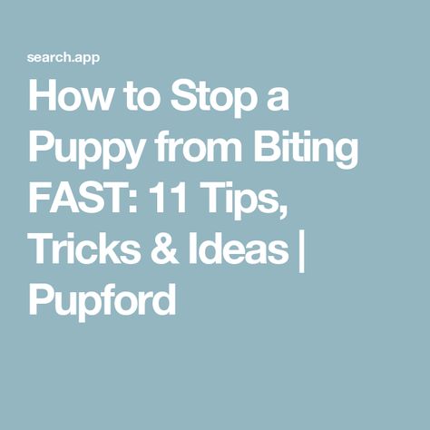 How to Stop a Puppy from Biting FAST: 11 Tips, Tricks & Ideas | Pupford How To Stop A Puppy From Biting, Stop Puppy Biting, Puppy Biting, Dog Info, The Expert, Training Your Dog, Training Tips, German Shepherd, Dogs Cats