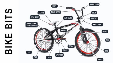 Bike Parts Name, Bmx Flatland, Bike Names, Bmx Bike Parts, Gt Bmx, Bmx Shop, Bmx Parts, Mountain Bike Frames, Best Electric Bikes