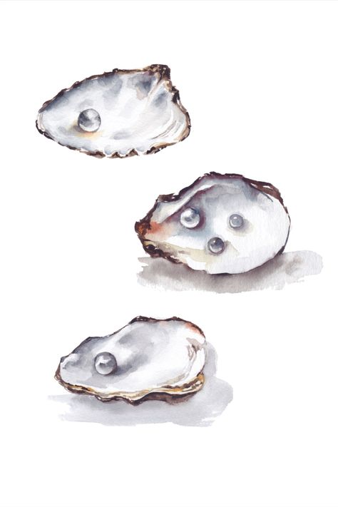 Original watercolor painting of three oyster shells with realistic little pearls inside of them. Made with fine watercolor paints on 300gsm paper. Art Pearl Illustration, Oyster Watercolor, Girly Watercolor, Room Prints, Watercolor Projects, Oyster Pearl, Watercolor Paints, Oyster Shells, Oyster Shell