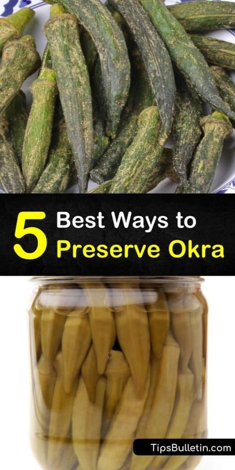 Learn how to preserve fresh okra from your garden while keeping it packed with flavor. This guide teaches you everything you need to know from blanching small pods in ice water, to freezing okra so you can throw it in a future gumbo. #preserve #fresh #okra Fresh Okra, Easy Pickling Recipes, Vegan Taco Salad, Pickled Okra, Canning Vegetables, Okra Recipes, Canning Tips, Edible Seeds, Pickled Veggies