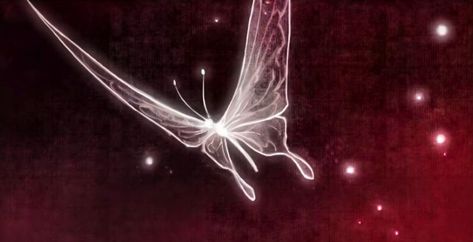 Silver butterflies Tgcf Silver Butterflies, Silver Butterfly Wallpaper Tgcf, Silver Butterfly Aesthetic, Silver Butterflies Tgcf, Hua Cheng Silver Butterflies, Heaven Official’s Blessing Butterflies, Hua Cheng Butterfly Tattoo, Heavens Official Blessing Butterfly, Tgcf Butterflies