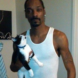 Snoop Dogg Pfp, Snoop Dogg Funny, Cat Lol, Dog Icon, Snoop Dog, Funny Profile, Miles Davis, Funny Profile Pictures, Thug Life