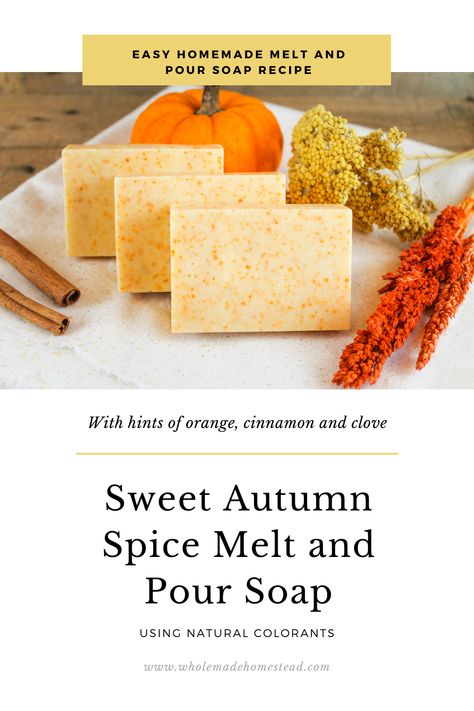 Apple Cinnamon Melt And Pour Soap, Apple Cinnamon Oatmeal Soap, Pumpkin Spice Soap Melt And Pour, Homemade Fall Soap Recipes, Melt And Pour Pumpkin Soap, Melt And Pour Soap Recipes For Fall, Autumn Melt And Pour Soap, Pumpkin Melt And Pour Soap, Fall Soap Recipes Melt And Pour