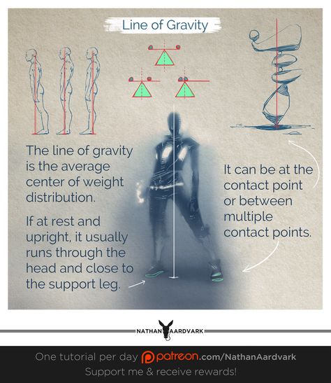 Tutorial 95 - Line of Gravity Center Of Gravity Drawing, Gravity Drawing, Walk Cycle, Visual Library, Observational Drawing, Center Of Gravity, Center Point, In A Nutshell, New Generation