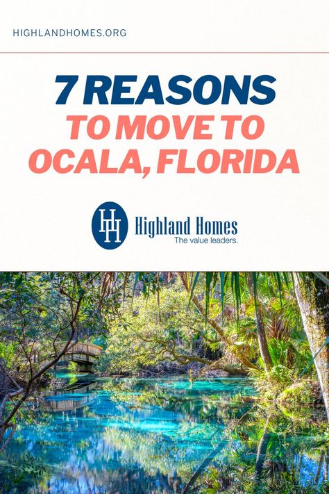 Things To Do In Ocala Florida, Ohv Trails, Ocala National Forest, Horse Competition, Tampa Bay Florida, Ocala Florida, Silver Springs, Moving To Florida, Florida City