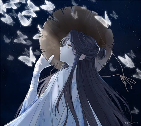 Silver Butterflies, Anime Profile, Silver Butterfly, Heaven's Official Blessing, Character Development, Favorite Character, Butterflies, Anime Art, Wattpad