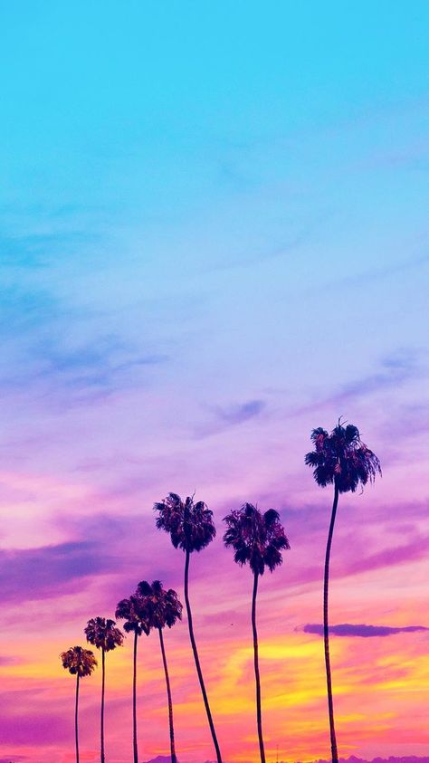 Matt Crump photography Pastel iPhone wallpaper beach sunset palm trees Tree Wallpaper Iphone, Pastel Photography, Beach Wallpaper Iphone, Pastel Iphone Wallpaper, Palm Trees Wallpaper, Pastel Sunset, Wall Paper Phone, Tropical Wallpaper, Beach Wallpaper