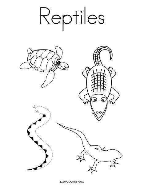 Reptiles Coloring Page from TwistyNoodle.com Learning Coloring Pages, Reptiles Preschool, Pictures Of Reptiles, Reptiles Activities, Reptile Crafts, Reptile Mortal Kombat, Childcare Ideas, Reptile Party, Sight Word Coloring