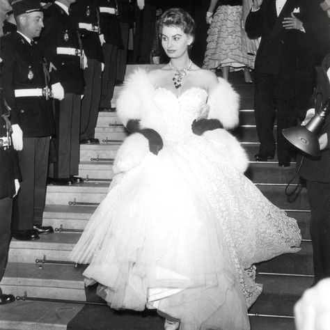 Sophia Loren at Cannes Film Festival in 1955 Sophia Loren Style, Klasik Hollywood, Jacques Fath, Jane Russell, Sofia Loren, Mae West, Gene Kelly, Goldie Hawn, Italian Actress