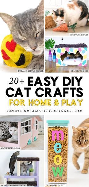 Diy Cat Crafts, Diy Jouet Pour Chat, Pet Diy Projects, Cats Crafts, Cat Diy Crafts, Kat Diy, Chat Diy, Homemade Cat Toys, Diy Pet Toys